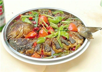 啤酒鲤鱼